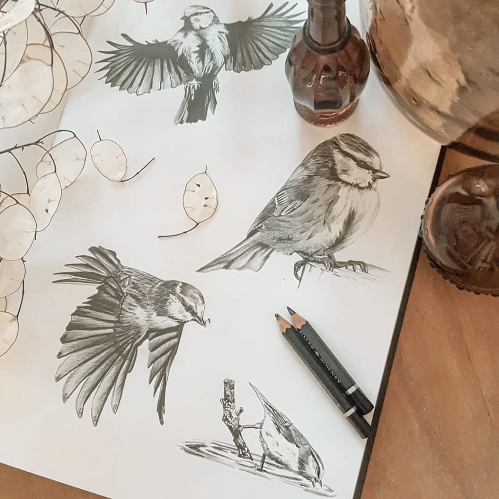 Oiseaux - Crayon de papier