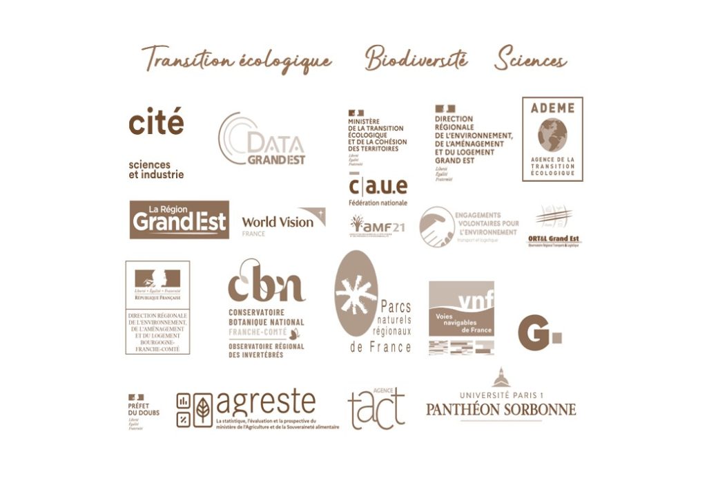 Facilitation graphique Confiance 2025